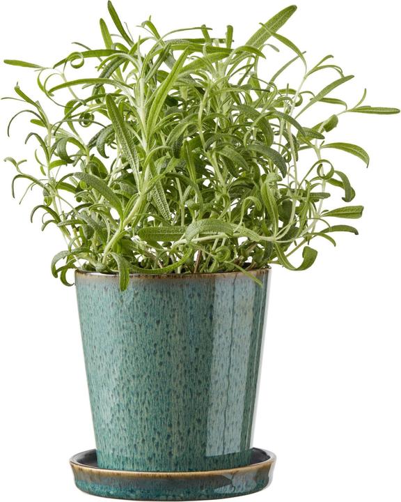 Actual product image Bitz Plant container (10 cm)