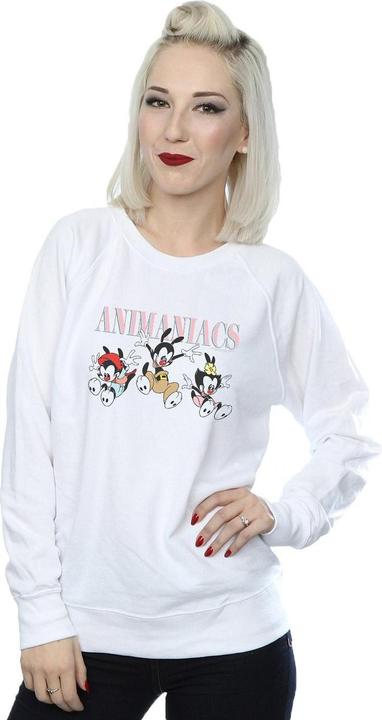 Actual product image Universal Textiles Womens/Ladies Group Jump Sweatshirt (L)
