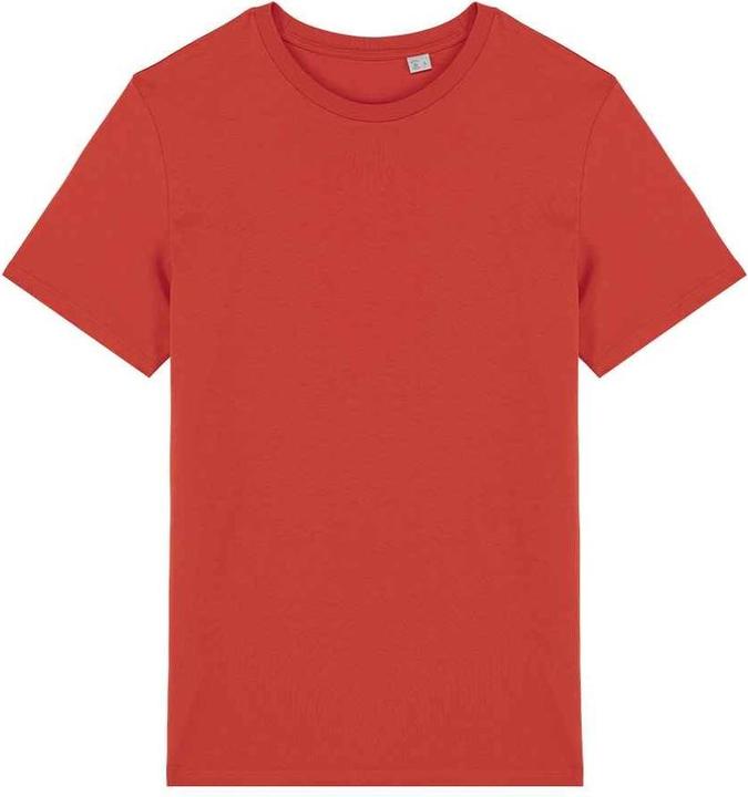 Native Spirit TShirt