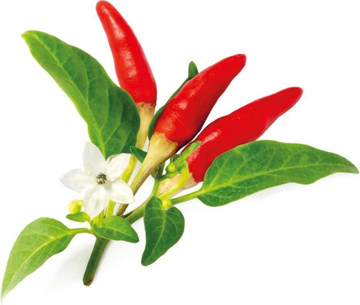 Click and Grow Rode Hete Spaanse peper Zaden (Groentezaden)