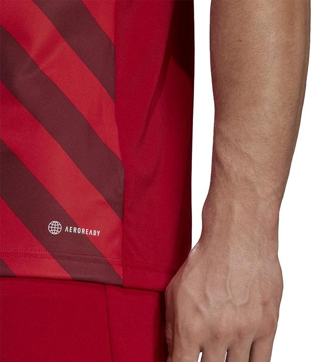 Produktbild adidas Entrada 22 Graphic Fussballtrikot Herren (XL)