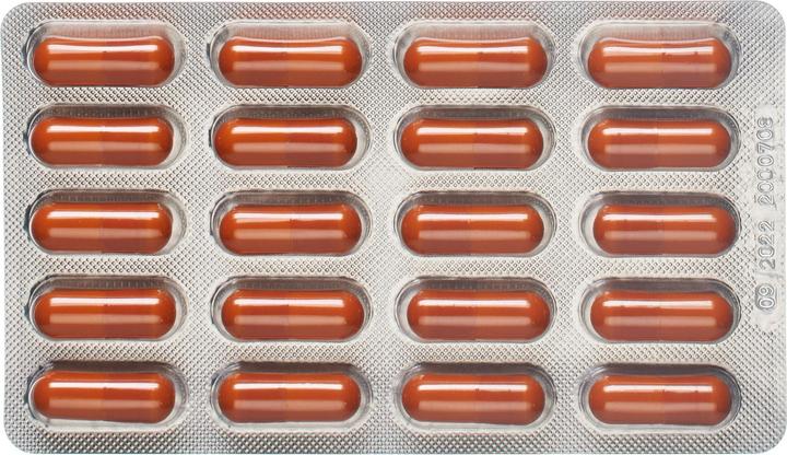 Actual product image Alpinamed CURCUMA INTEST capsules (1 Piece, Capsules, 40 g)