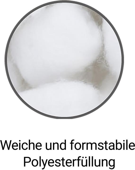 Produktbild Aspero Seitenschläferkissen (150 x 85 cm)