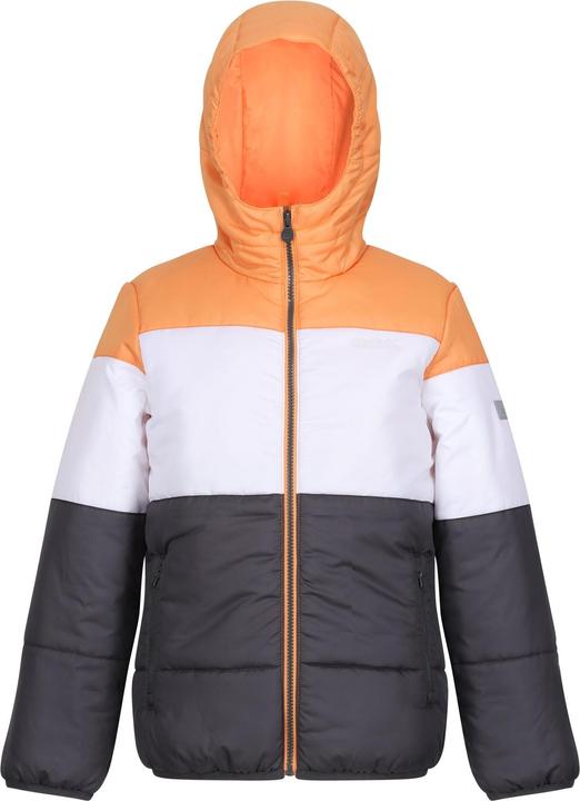 Immagine prodotto Regatta Bambini/ragazzi Giacca imbottita Lofthouse VII Terrain Print (128)