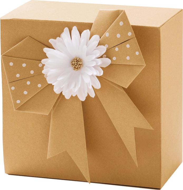 Image du produit Folia Carton kraft (230 g/m², 1 x)