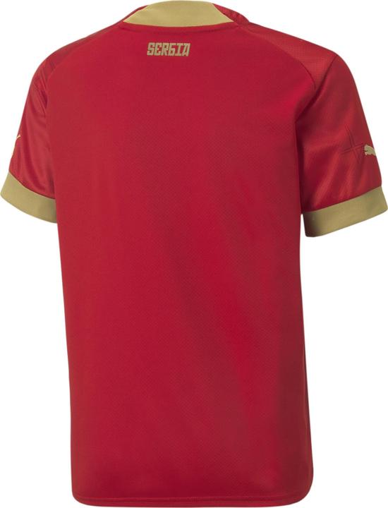 Actual product image Puma FSS Home Jersey Replica Jr (164)