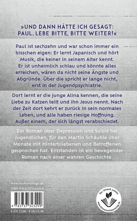 Actual product image Alle Farben grau (German, Martin Schäuble, 2023)