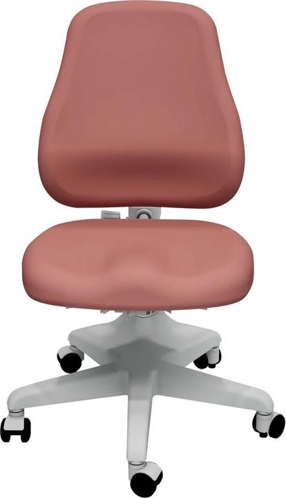 Produktbild Flexa Stuhl Verto Misty Rose
