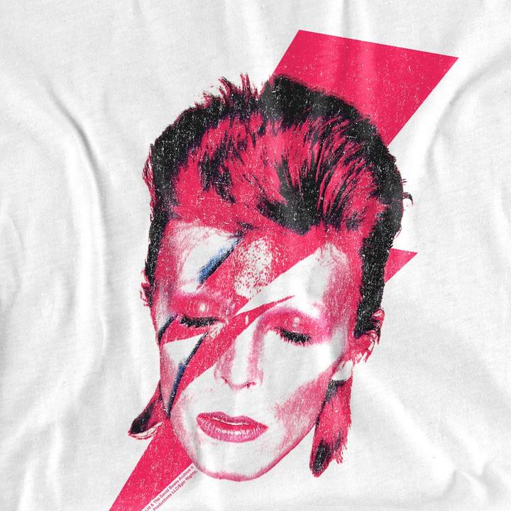Produktbild David Bowie Aladdin Sane TShirt (XL)