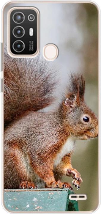 Squirrels