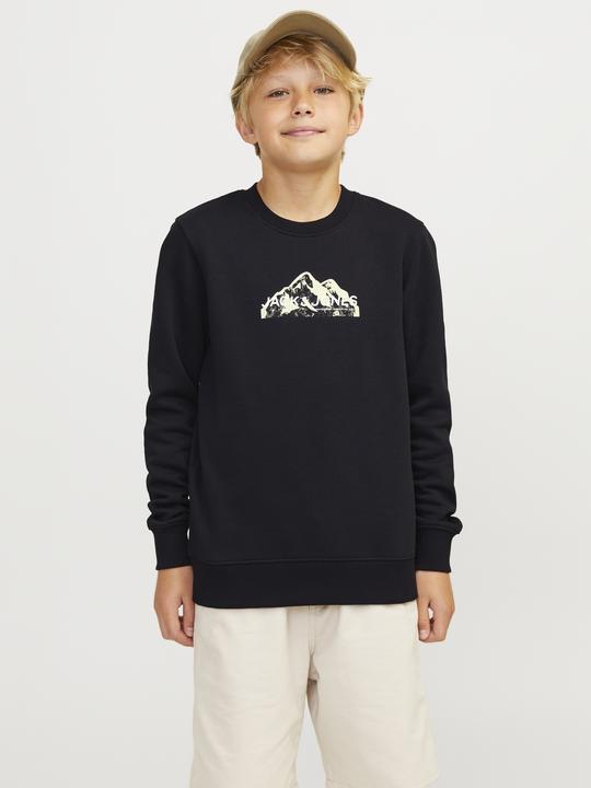 Actual product image Jack & Jones Jcomountain Logo Sweat Crew Neck Sn Mni (98)