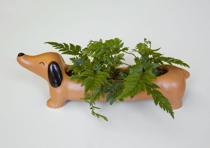 Actual product image Kikkerland Daschand Planter (6 cm)