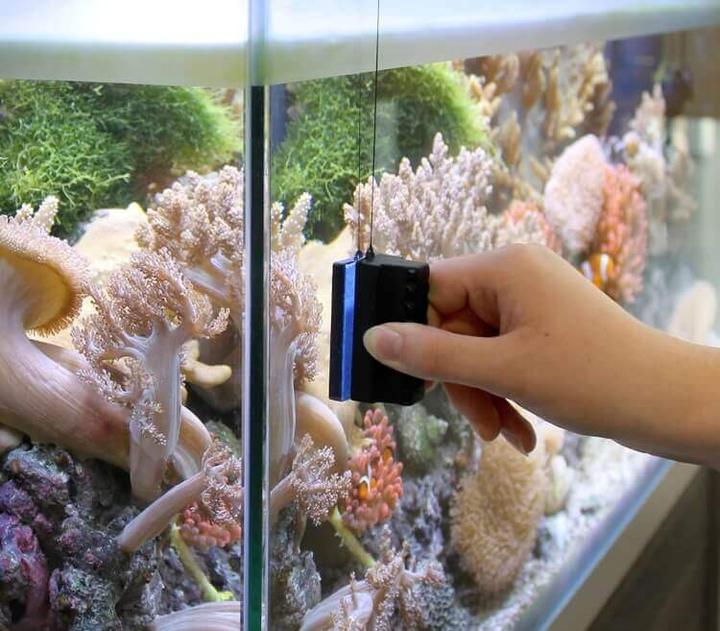 Actual product image Marina Magnetic disk cleaner (Aquarium cleaning, Magnetic cleaner)
