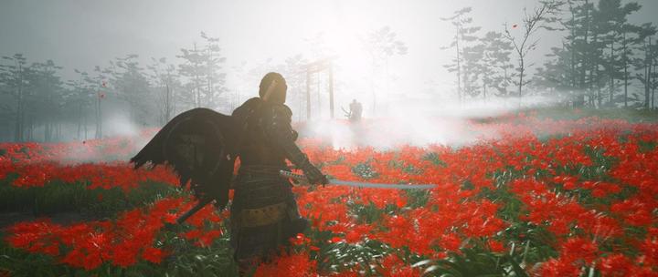 Produktbild Sony Ghost of Tsushima Director’s Cut (PS4, Multilingual)