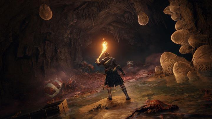 Productafbeelding Bandai Namco Elden Ring (PS5, DE, FR, IT)