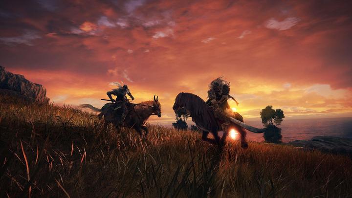 Productafbeelding Bandai Namco Elden Ring (PS5, DE, FR, IT)