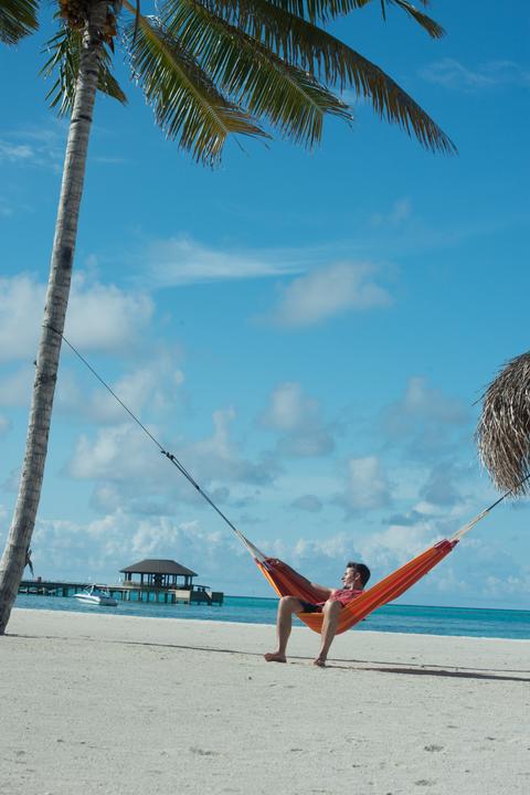 Actual product image La Siesta Single (120 kg)