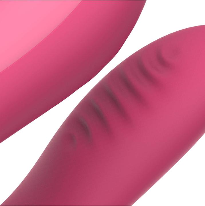 Image du produit Easytoys EasyConnect Paarvibrator mit AppSteuerung