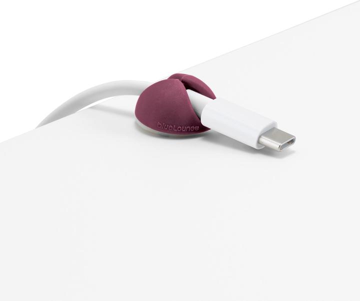 Actual product image BlueLounge CableDrop
