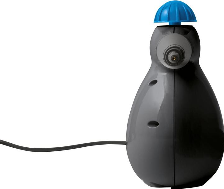 Image du produit Bissell grenaille de vapeur (4.50 bar, 1000 W)