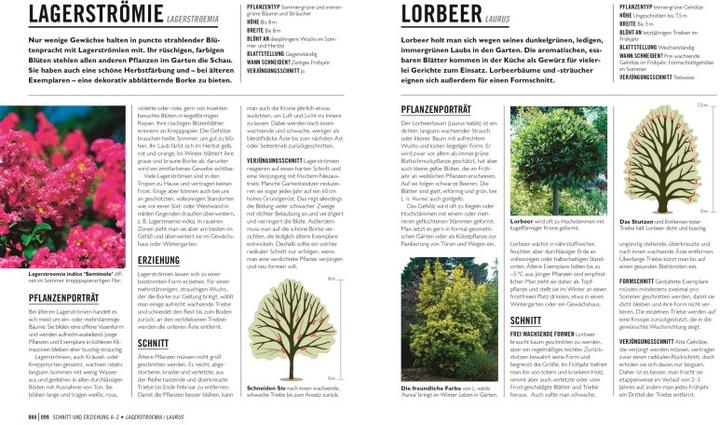 Produktbild Grünes Gartenwissen. Pflanzen richtig schneiden (Deutsch, Reinhard Ferstl, Stephanie Mahon, DK Verlag, 2022)
