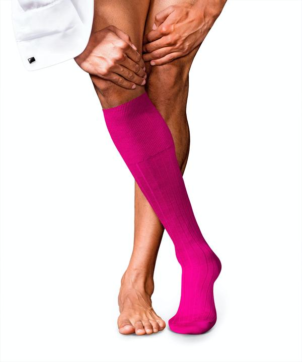 Immagine prodotto Falke No. 2 KH (41 - 42)