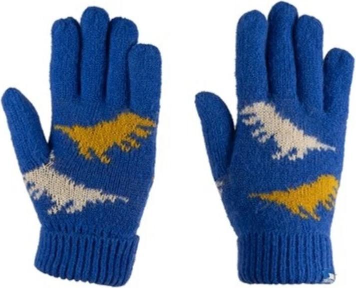 Trespass CASPER Kinderhandschuhe (2, 4)