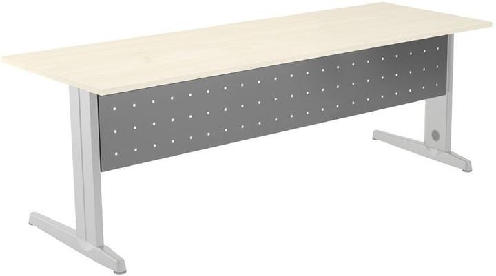 Actual product image Rocada Modesty screen grey 160.0 x 30.0 cm