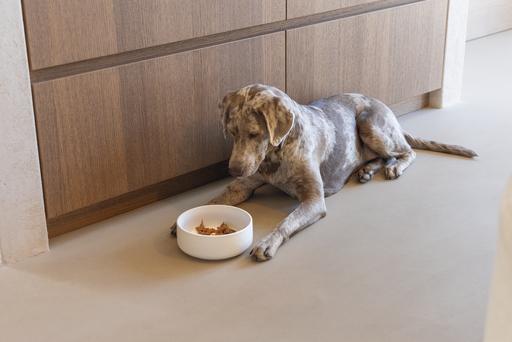 Actual product image Designed by Lotte Lojs dog bowl (1.20 l)