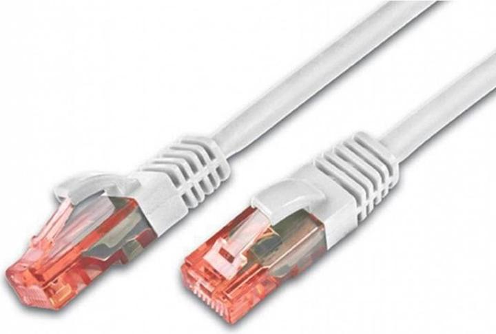 Wirewin Netzwerkkabel (UTP, CAT6, 30 m)