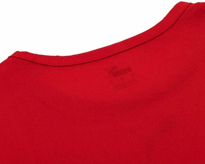 Image du produit Puma teamRISE Jersey-704932 (L)