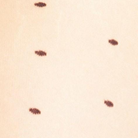 Produktbild Falke Dot TI (15 DEN, 48 - 50)