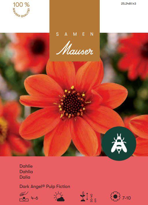 Produktbild Samen Mauser Dahlie Pulp Fiction