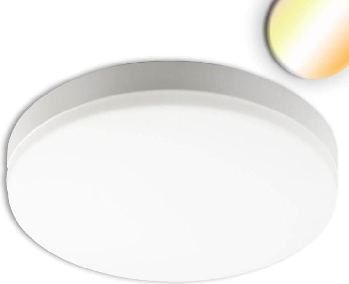 Actual product image Isoled LED ceiling/wall light 18W, white, IP54, ColorSwitch 3000/4000/5000K