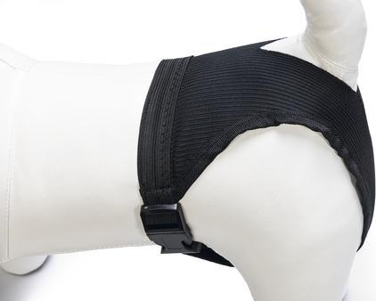 Immagine prodotto Beeztees Pantaloni igienici (Cane)