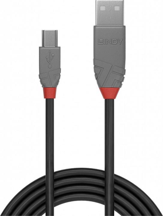 Actual product image Lindy USB/A-MiniB M-M (5 m, USB 2.0)
