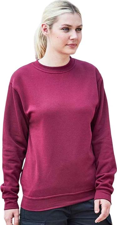 Produktbild Prortx Pro Sweatshirt (3XL)