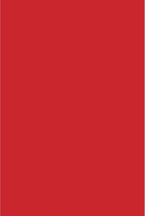 Image du produit Savage Fond 2.72 x 11m rouge (272 cm, 1100 cm)