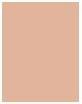 Actual product image Sensai Highlighting Concealer (02 Luminous sand)