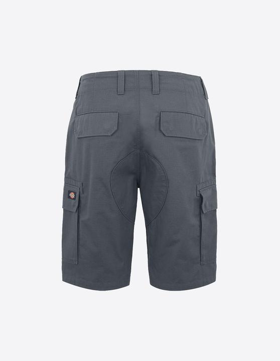 Actual product image Dickies Millerville Short (30)