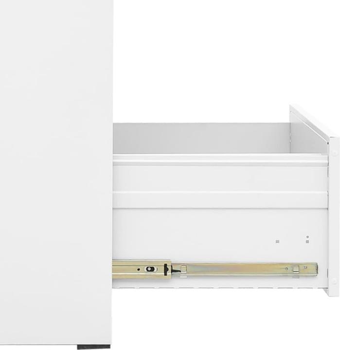 Actual product image VidaXL Aktenschrank (46 x 62 x 102.5 cm)