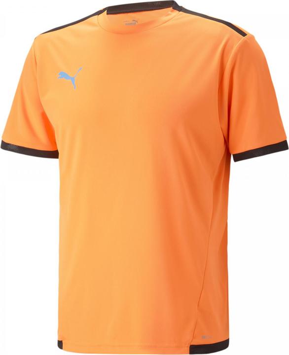 Actual product image Puma teamLIGA Jersey-704917 (M)