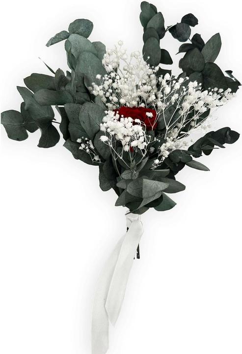 Soli Collection Trockenblumen Rosenbox mit roten Rosen 15 x16 cm (Fiori secchi)