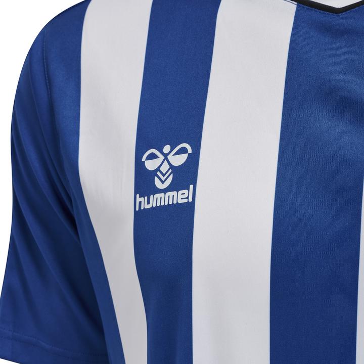 Image du produit hummel Core Xk Striped Jersey S/S (S)