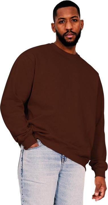 Universal Textiles Sweatshirt aus ringgesponnener Baumwolle in Übergrösse (S)