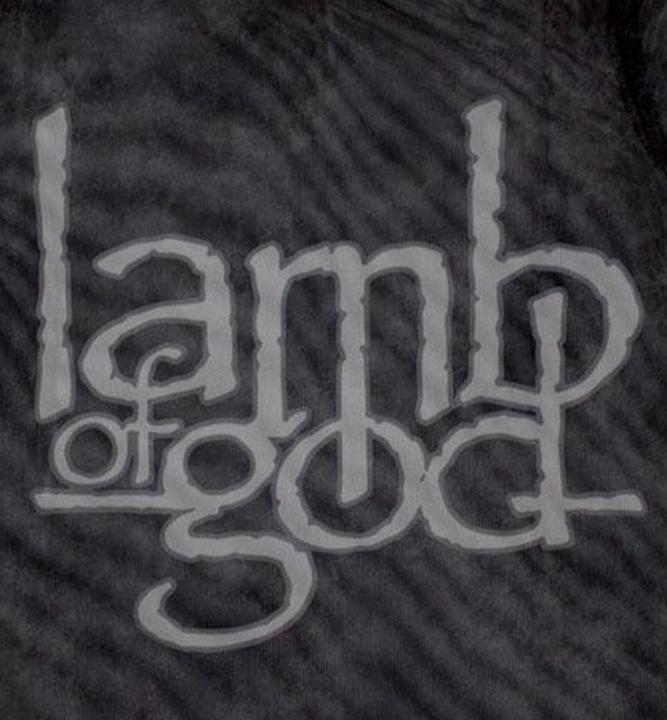 Actual product image Lamb Of God Womens/Ladies Logo Mesh Crop Top (40)