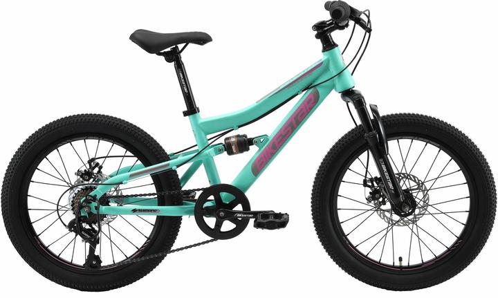 Bikestar VTT intégral (20")