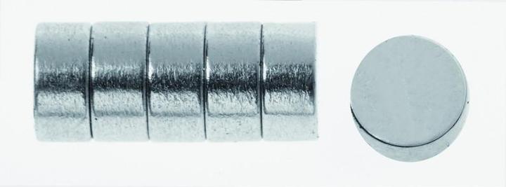 Actual product image Glorex Magnets (6 x)