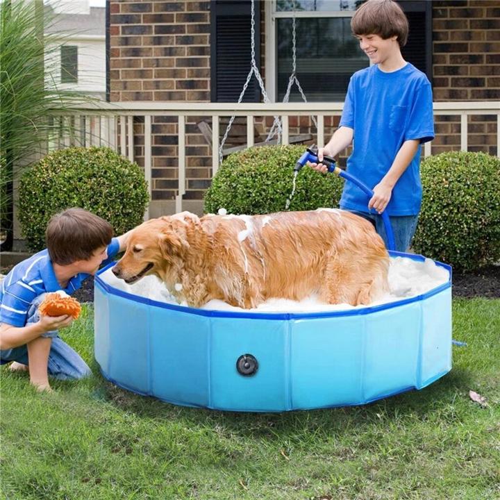 Image du produit Champ Grande piscine pour chiens (Piscine pour chiens)