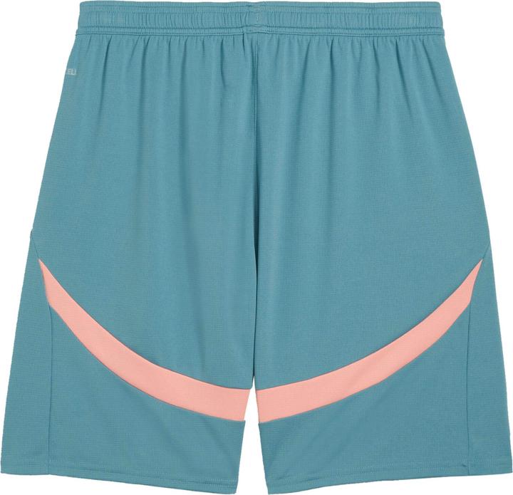 Actual product image Puma Manchester City Goalkeeper Shorts (S)